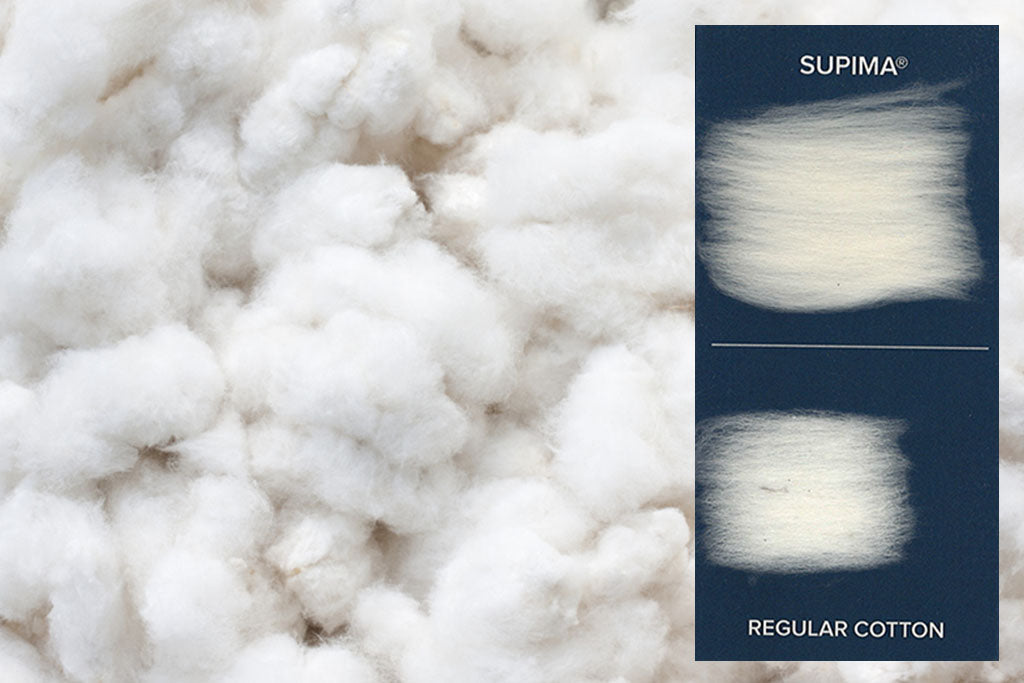 Supima Cotton vs. Regular Cotton